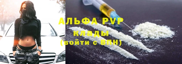 ПСИЛОЦИБИНОВЫЕ ГРИБЫ Белокуриха