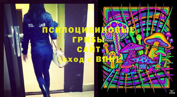 ПСИЛОЦИБИНОВЫЕ ГРИБЫ Белокуриха