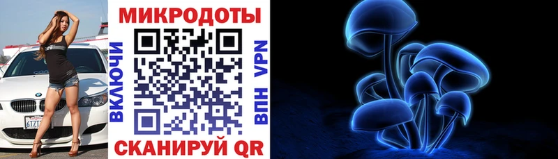 Галлюциногенные грибы Psilocybe  наркота  дарк нет формула  Губкинский 